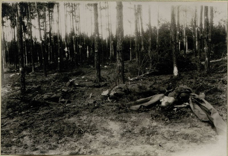 Фотография: Живая сила противника уничтоженная нашей артиллерией в районе с. Тейров