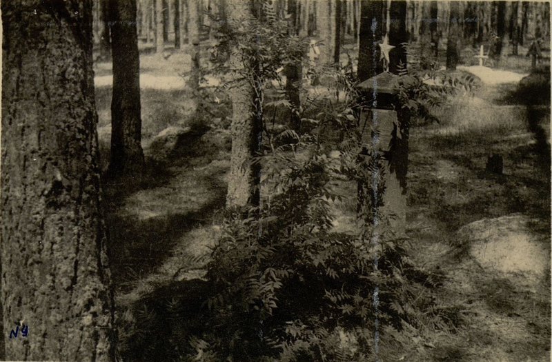 Фотография: Памятник, г. Добруш, восточная окраина