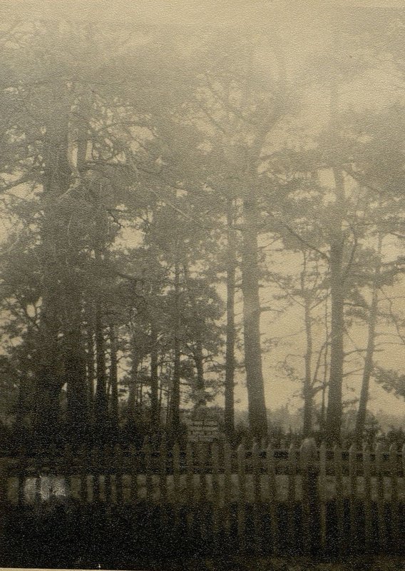 Image: Mass grave number 18