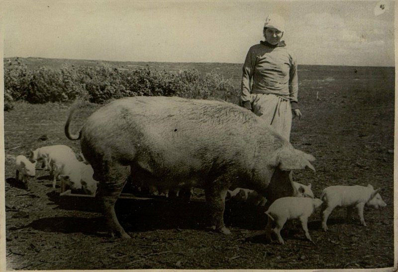 Фотография: Подсобное хозяйство