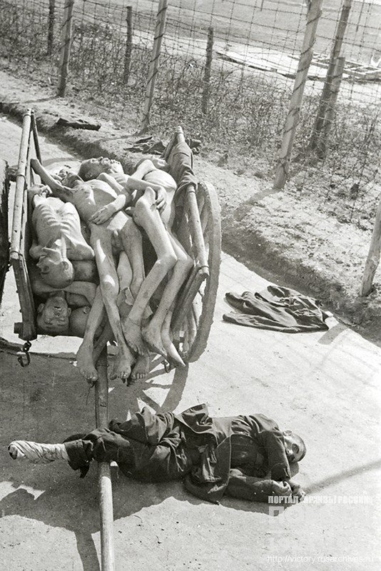 A cart loaded with the corpses of Soviet POWs who died of starvation in the German camp "Russian camp # 344" in Lamsdorf
