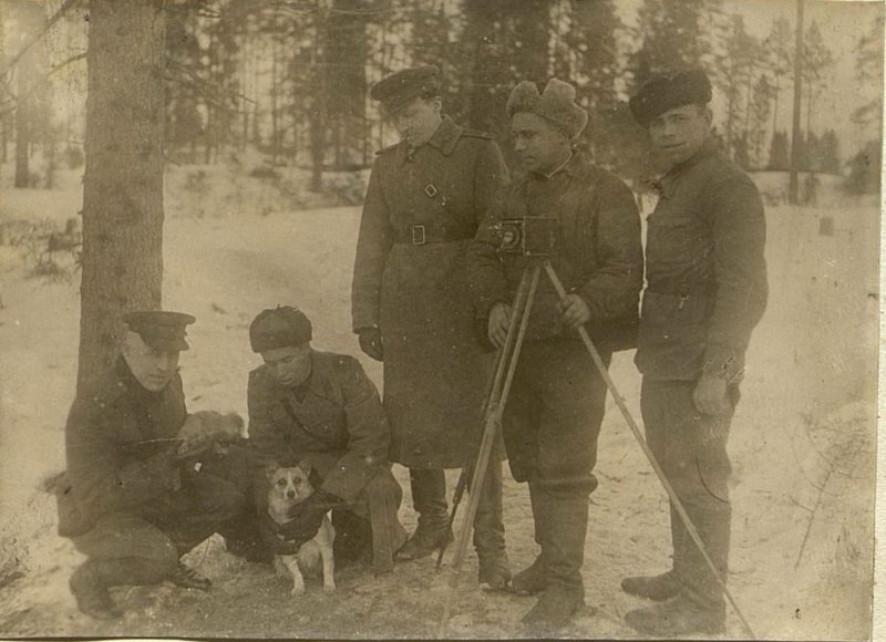 Фотография: 181 стрелковый полк в Отечественной войне