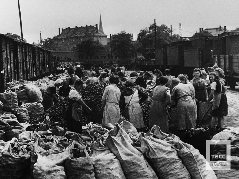 Residents of the city during the unloading of potatoes delivered by the Soviet command to supply the city's population