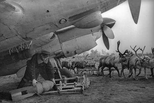 К самолету Пе-2, готовящемуся к боевому вылету, авиабомбы ФАБ-100. Кольский п-ов,