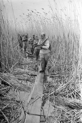 Группа автоматчиков продвигается по штурмовому мостику через плавни