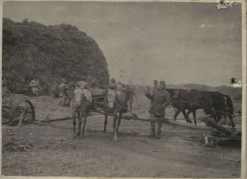 Фотография: Подсобное хозяйство
