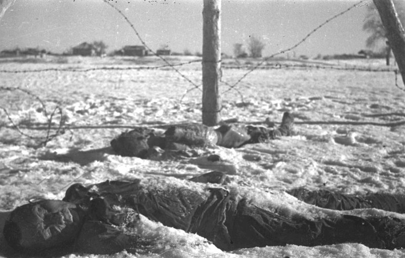 Soviet POWs killed by the Nazis (Stalingrad)