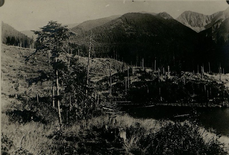 Image: View of the Malaya Fatra ridge from the Parnitsa district