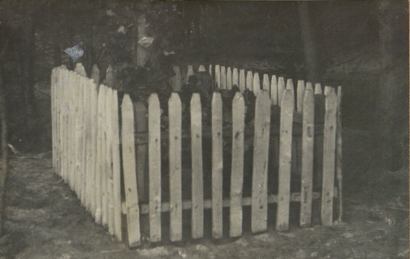 Image: Military burial, Grodno region, Zelvensky district, Dostrevichsky village council, cemetery in the village of Ednochi