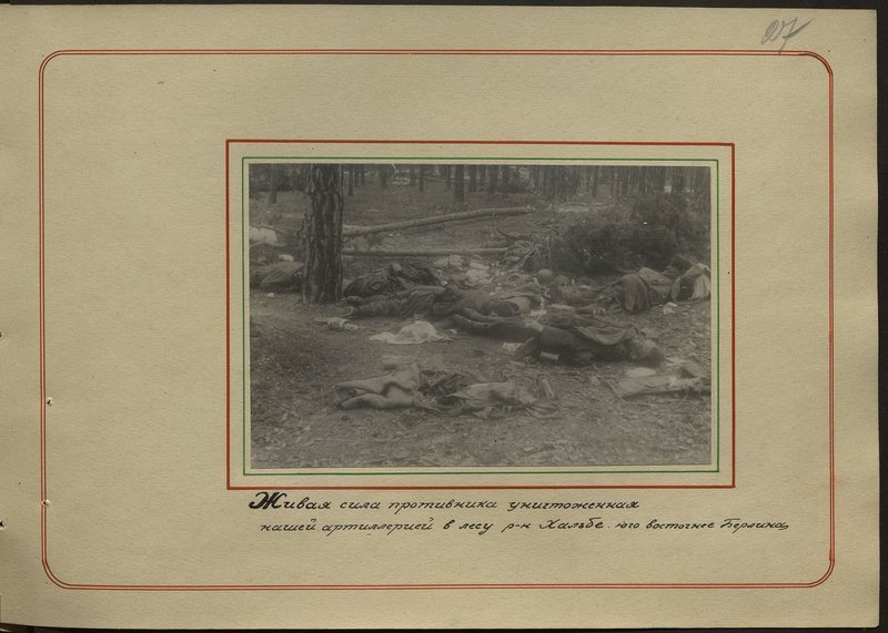 Original image: The enemy's manpower destroyed by our artillery in the forest in the Halbe region. Southeast of Berlin