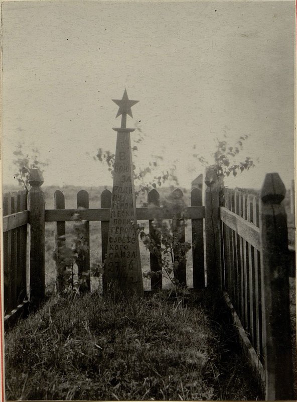 Фотография: Индивидуальная могила расположена южнее городской больницы гор. Старые Дороги